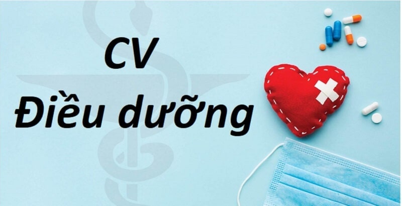 Bố cục trong CV điều dưỡng