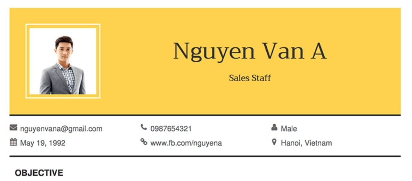 CV xin việc tông vàng