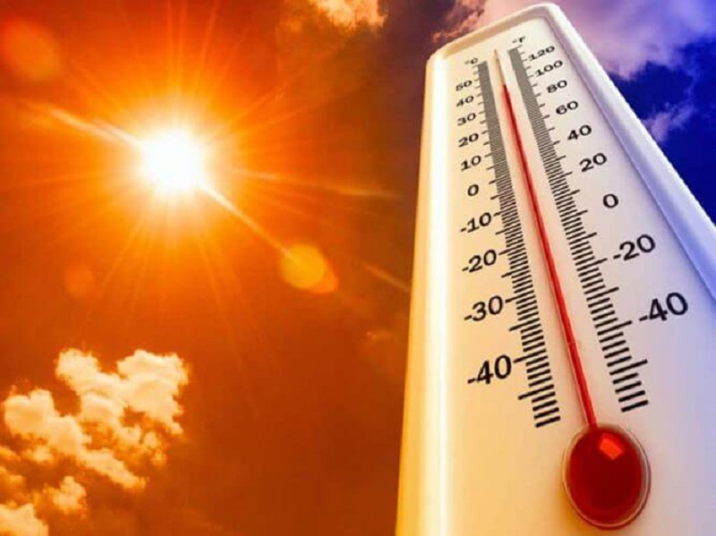 Yếu tố từ môi trường