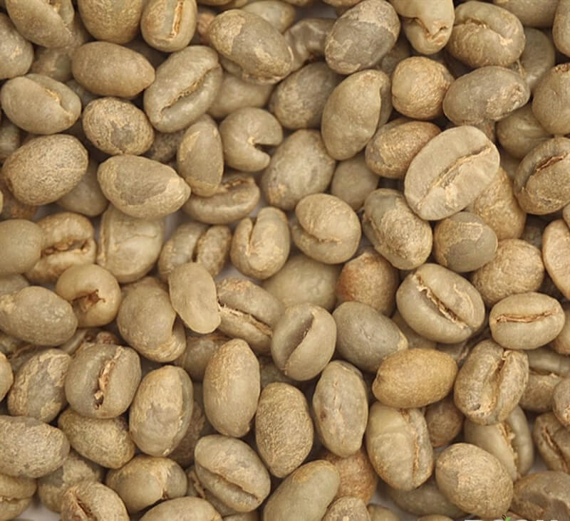 Đặc điểm hạt culi