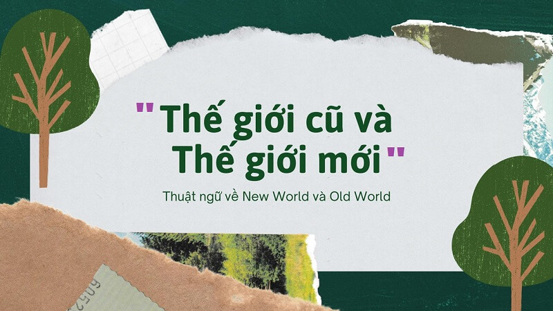 Đặc điểm nổi bật của thuật ngữ là gì?