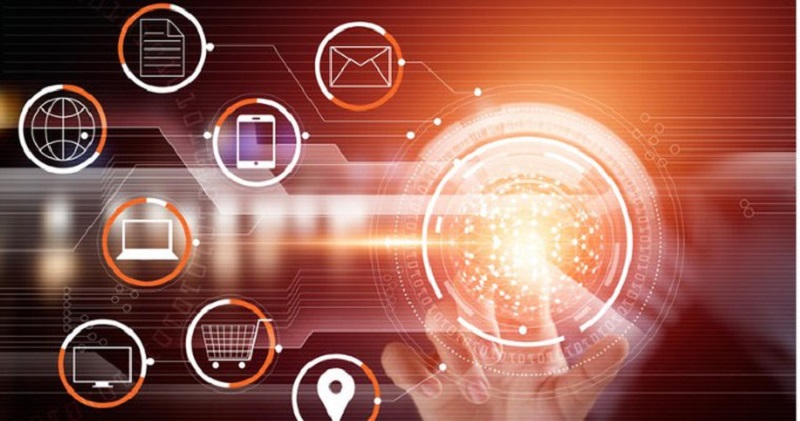 Đặc điểm và vai trò