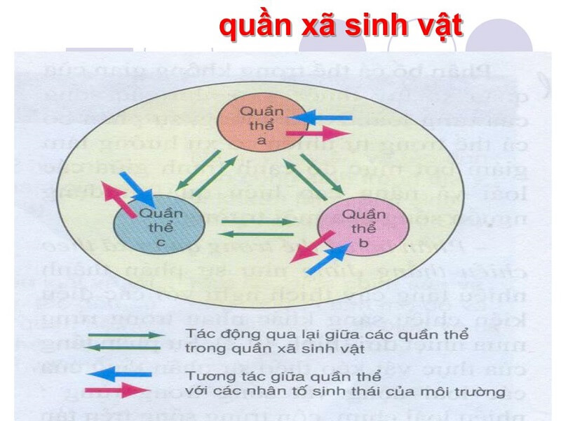 Tìm hiểu bản chất của đặc trưng