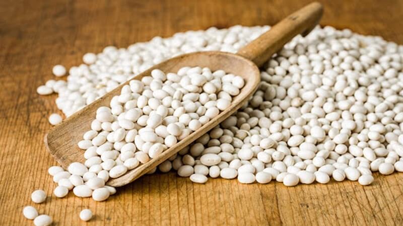 Đặc trưng của hạt đậu trắng