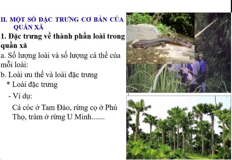 Đặc trưng quần xã