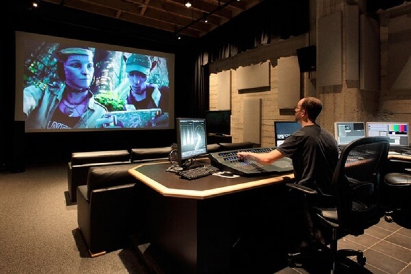 Người cầm trịch hình ảnh tác phẩm