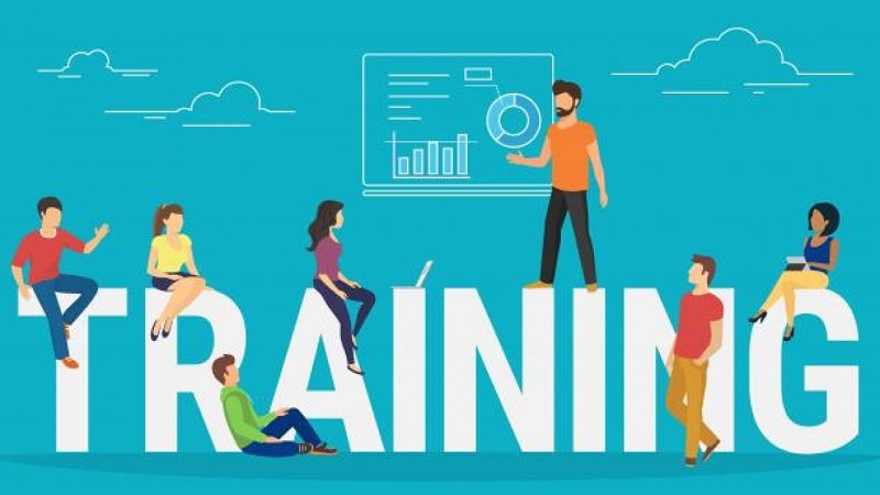 Đào tạo nhân lực là gì