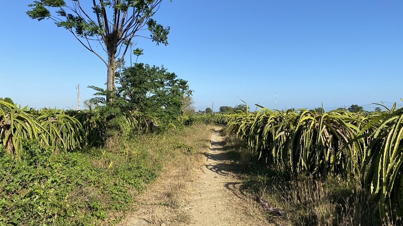 Đặc điểm của đất CNL