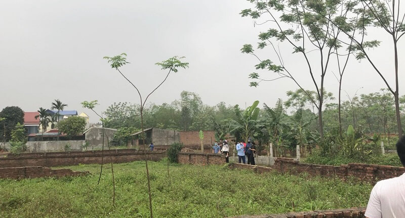 Đất khai hoang có thể được cấp Giấy chứng nhận quyền sử dụng đất