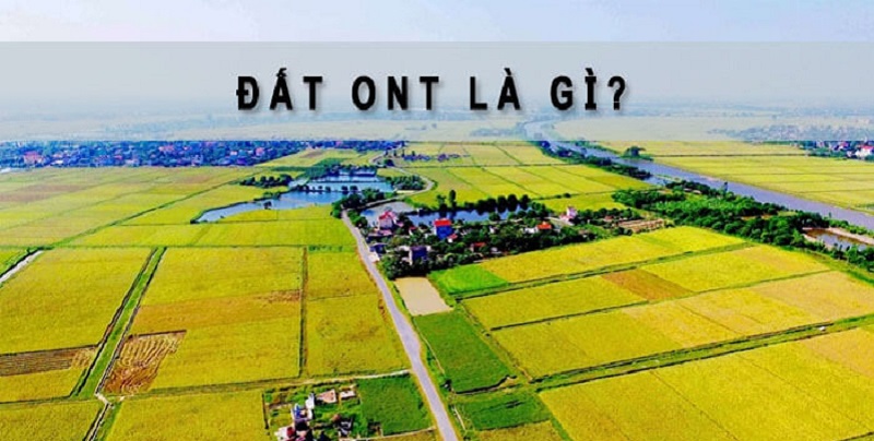 Đất ONT là gì?