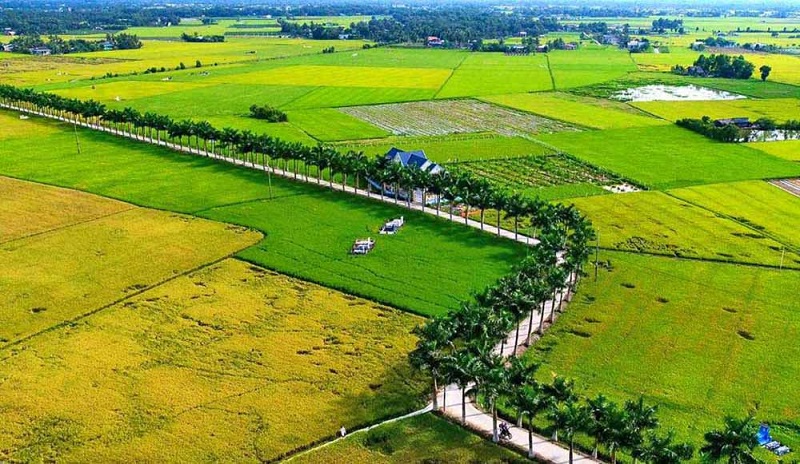 Mục đích sử dụng đất ONT 