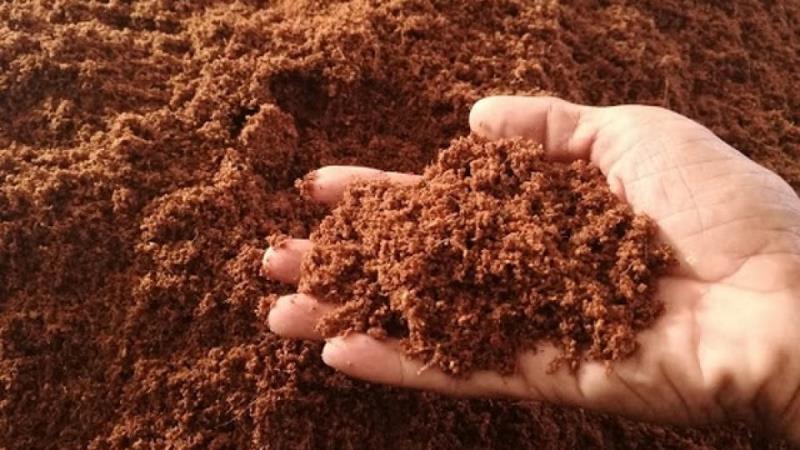 Tìm hiểu thế nào về đất thịt?