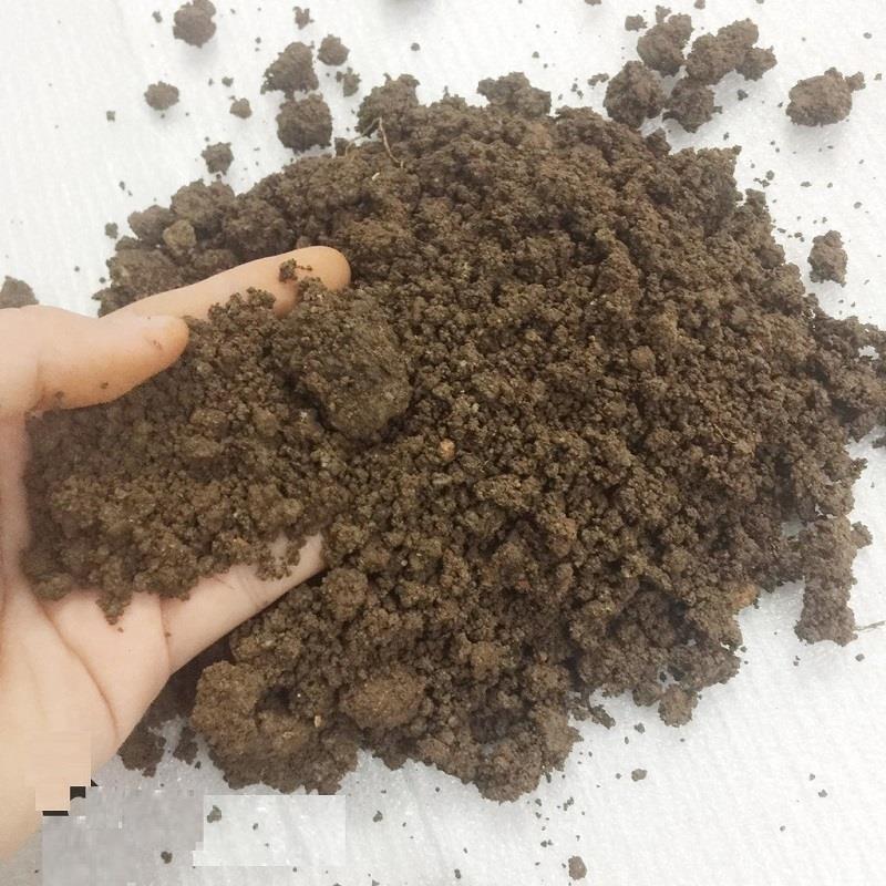 Khám phá những tính chất đặc trưng của đất thịt