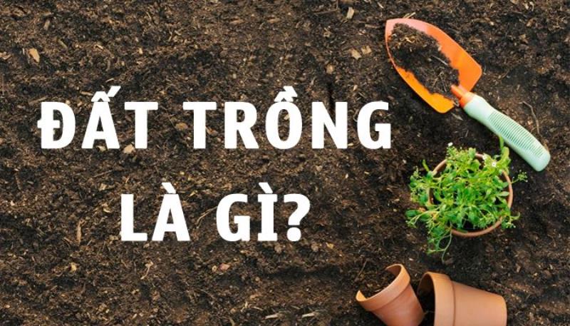 Đất trồng là gì