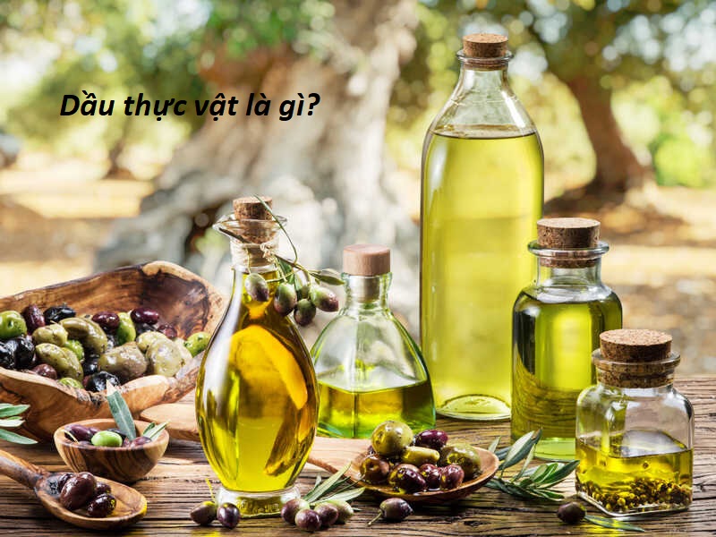Dầu ăn thực vật là gì