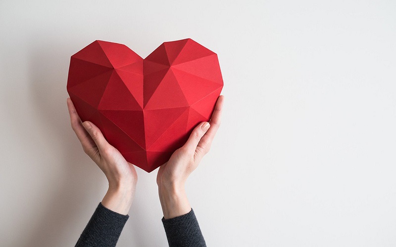 Đậu cúc là dinh dưỡng tuyệt vời để bảo vệ tim mạch của bạn