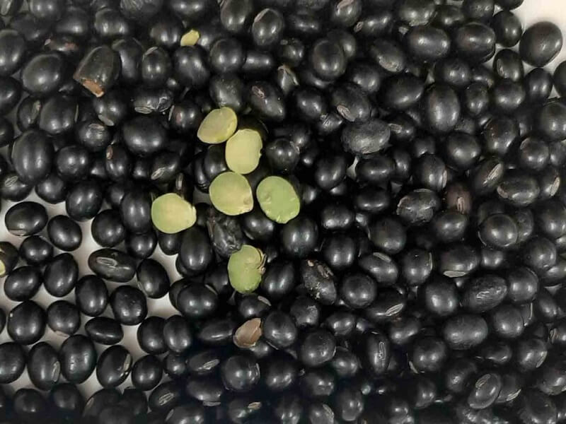 Đậu đen xanh lòng là gì