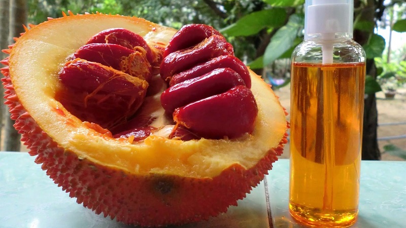 Dầu gấc là gì