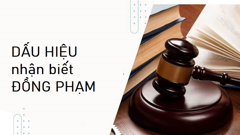 Nhận biết đồng phạm qua những dấu hiệu nào