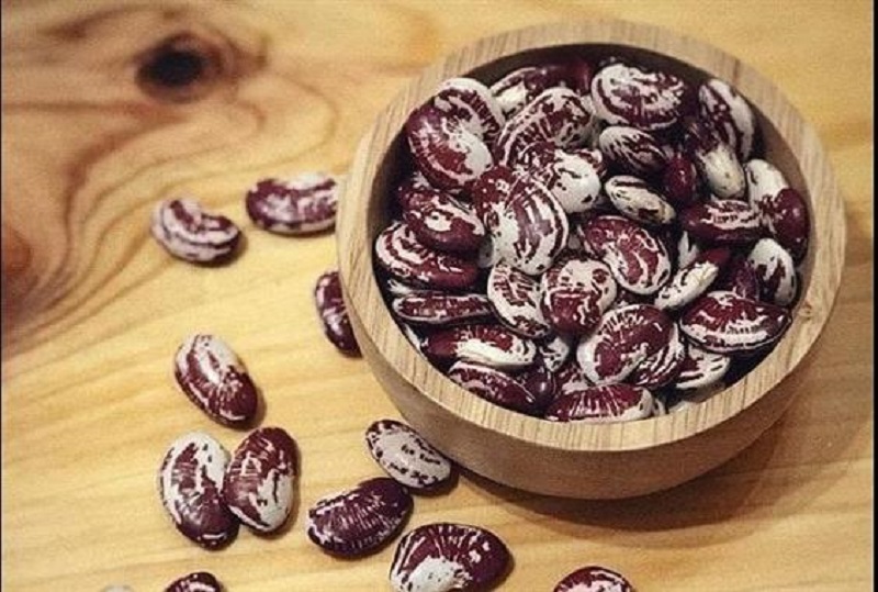 Chức năng tiêu hóa tốt và ổn định hơn