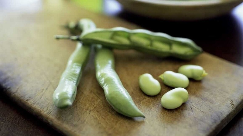 Thành phần dinh dưỡng