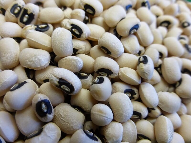 Đậu trắng - khái niệm cần biết