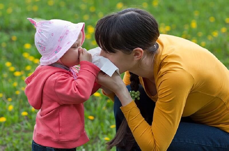 Dị ứng phấn hoa cỏ