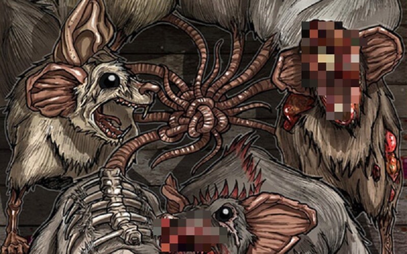 Nhiều người cho rằng vua chuột là điềm báo tai họa