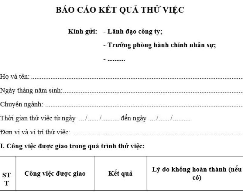 Điền thông tin cá nhân ứng viên thử việc