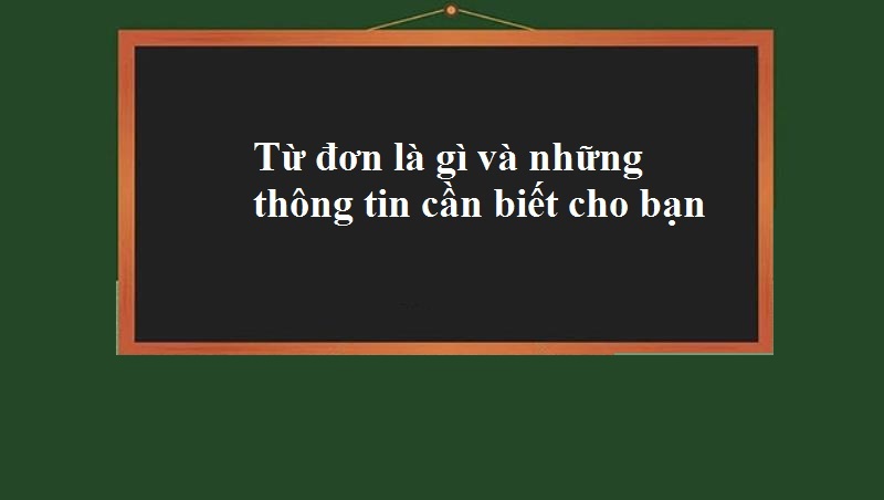 Từ đơn và những điều cần biết