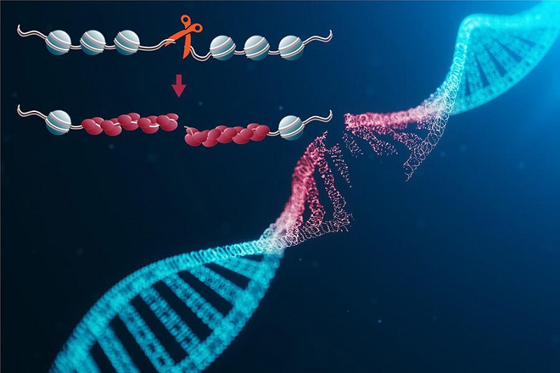 Đột biến có nguy hiểm không