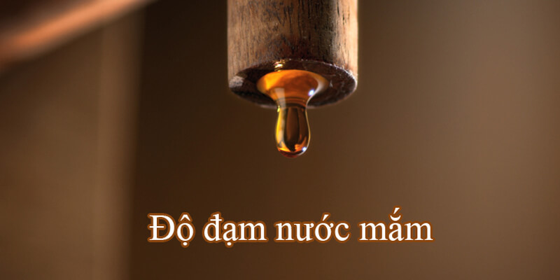 Độ đạm nước mắm là gì