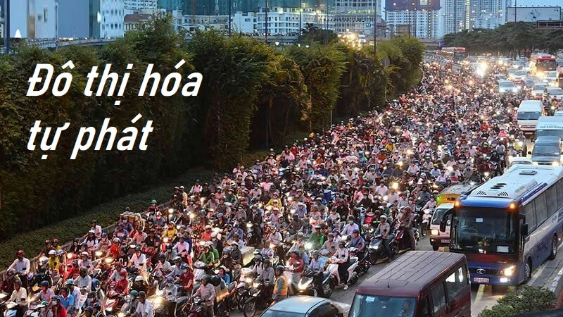 Đô thị hóa tự phát hiểu đúng nghĩa như thế nào?