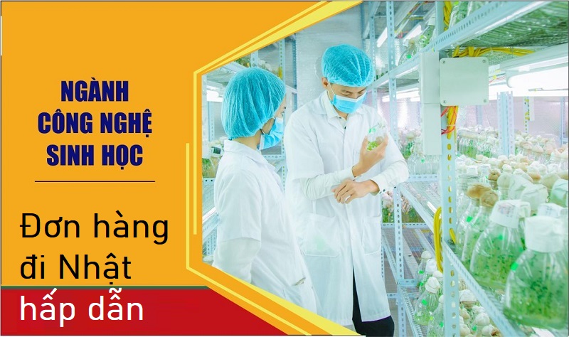 Chuẩn bị đầy đủ mọi thứ để đi Nhật xuất khẩu lao động ở lĩnh vực kỹ sư công nghệ sinh học
