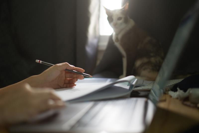 Nội dung đơn xin nghỉ việc bằng tiếng Anh