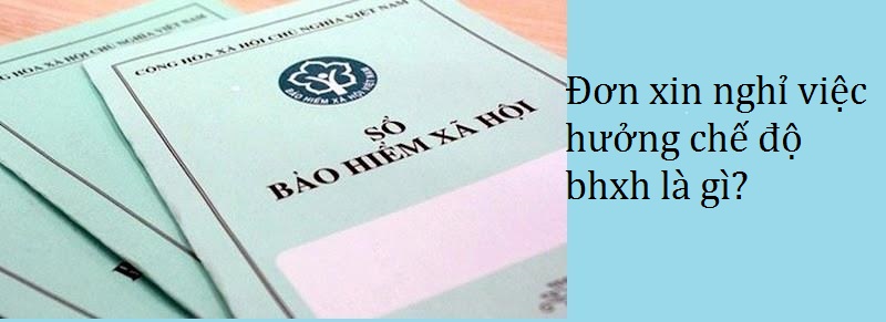 Mẫu đơn xin nghỉ việc hưởng chế độ bhxh