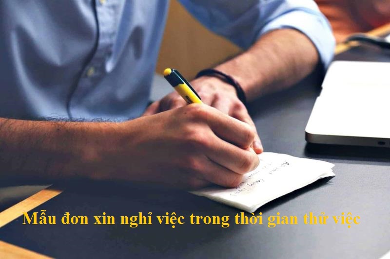 Viết mẫu đơn xin nghỉ việc trong thời gian thử việc