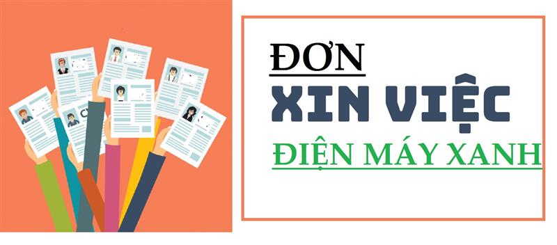 Đơn xin việc Điện Máy Xanh