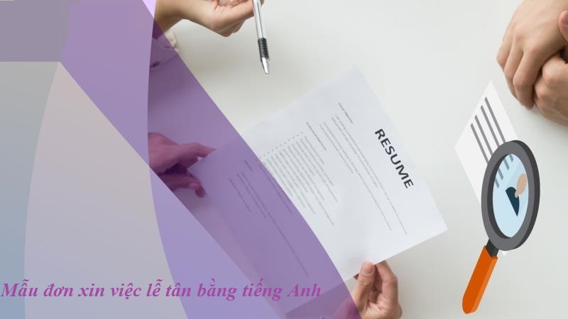  Mẫu đơn xin việc lễ tân bằng tiếng Anh