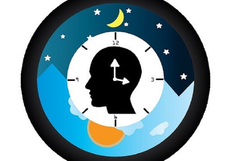 Đồng hồ sinh học là gì