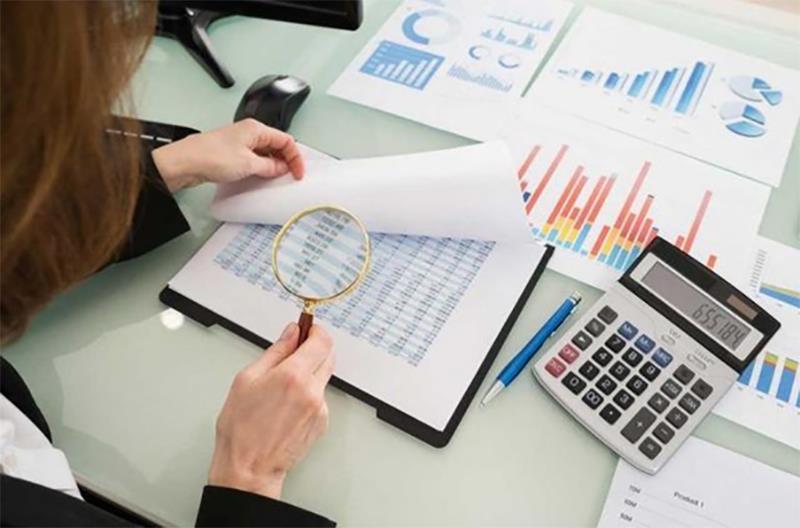 Cần đưa ra lý do viết đơn cho kế toán mới ra trường