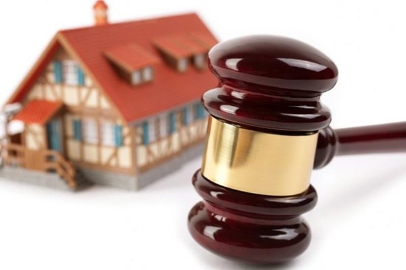 Đưa ra những căn cứ và quyết định có liên quan để lá đơn thuyết phục