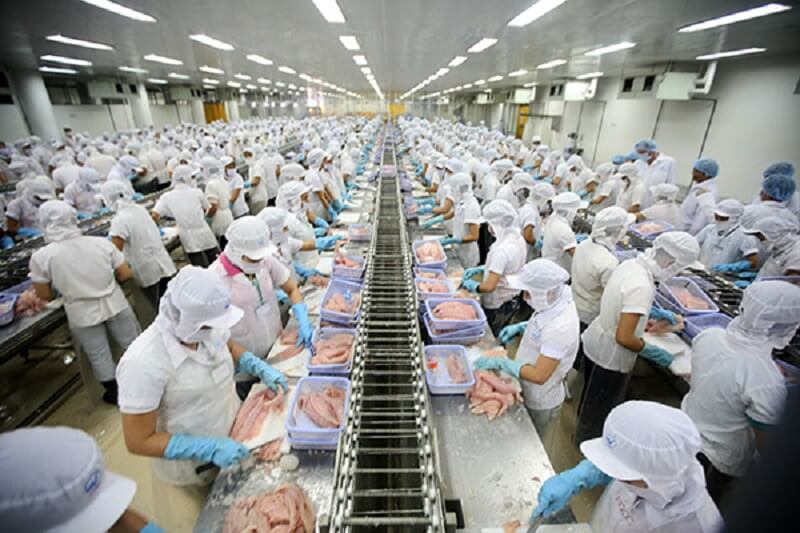 Được đào tạo cơ bản