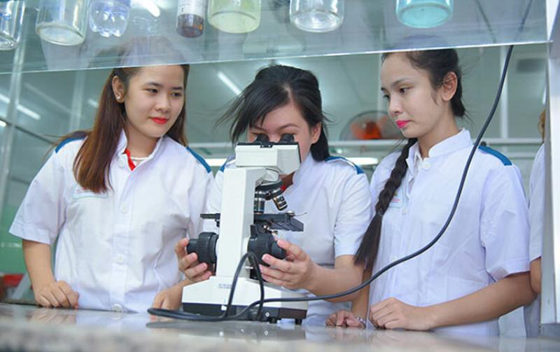 Trả lời câu hỏi dược sĩ Đại học mới ra trường làm gì