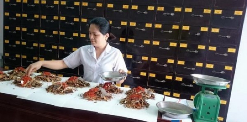Cơ hội nghề nghiệp cho dược sĩ y học cổ truyền có rộng mở
