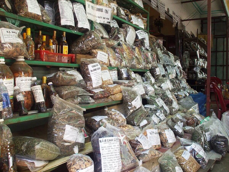 Sinh viên trành Y học cổ truyền được học những gì 