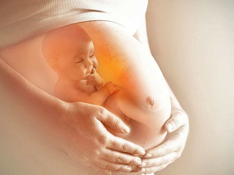 Bổ sung EPA và DHA cho cơ thể