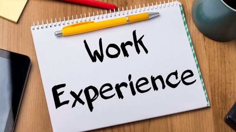 Viết EXP trong đơn xin việc, CV ứng tuyển