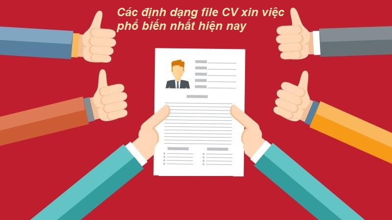 File CV xin việc chuẩn