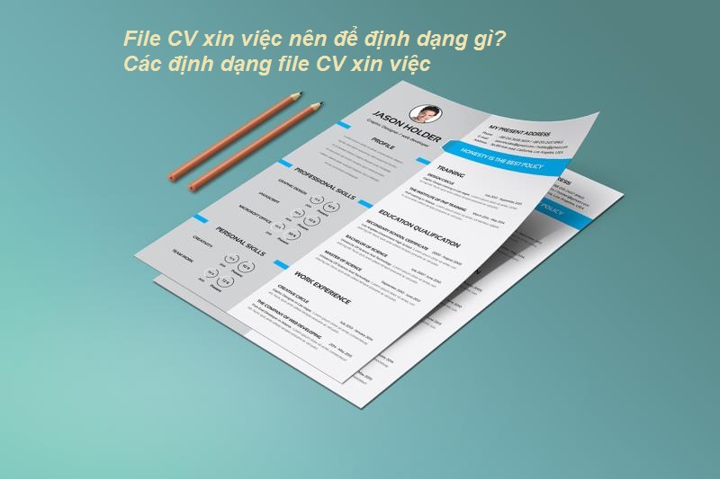 File CV xin việc chuyên nghiệp